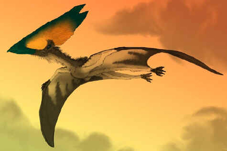 Thalassodromeus Thalassodromeus