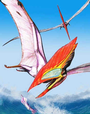 Thalassodromeus Thalassodromeus