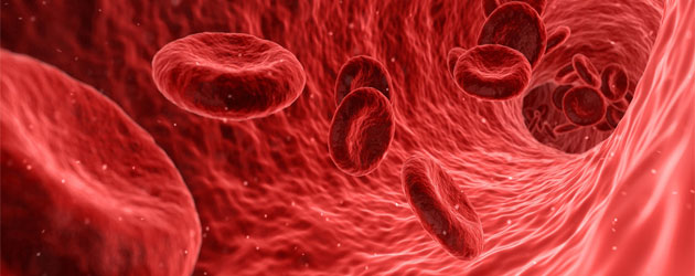 Tipos de Sangue