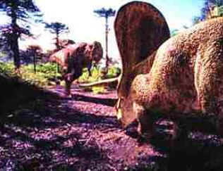 Torossauro