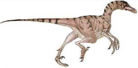Troodonte Troodonte
