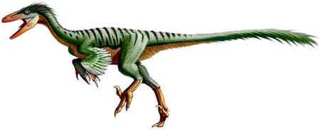 Troodonte Troodonte