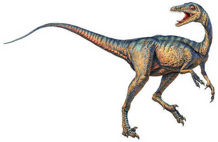 Troodonte Troodonte
