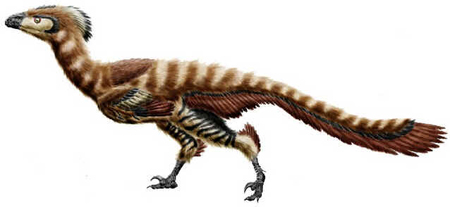Troodonte Troodonte