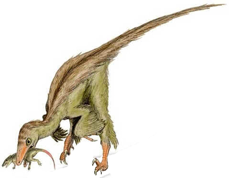 Troodonte Troodonte