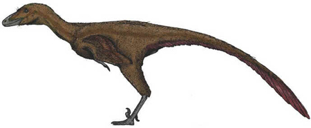 Troodonte Troodonte