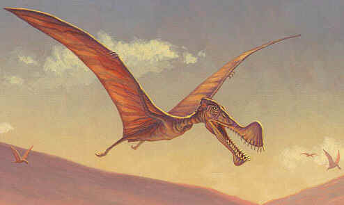 Tropeognathus