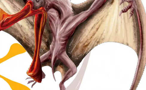 Tropeognathus