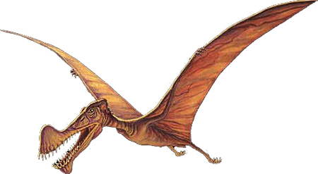 Tropeognathus