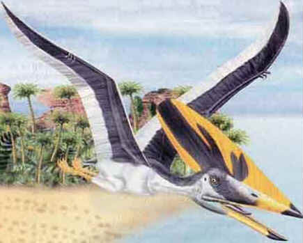 Tupuxuara