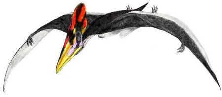 Tupuxuara