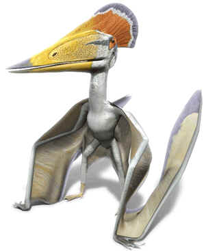 Tupuxuara
