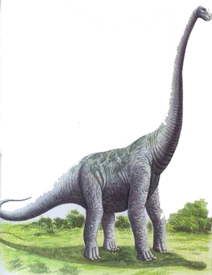 Ultrassauro Ultrassauro