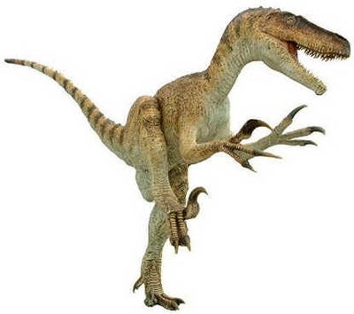 Utahraptor Utahraptor