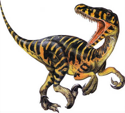 Velociraptor