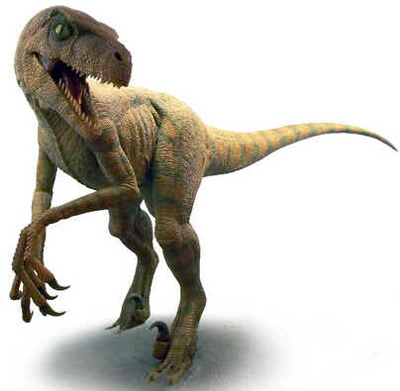Velociraptor