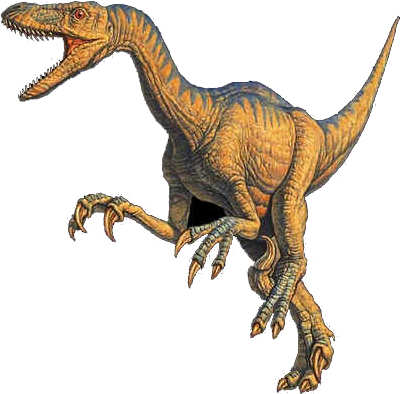 Velociraptor