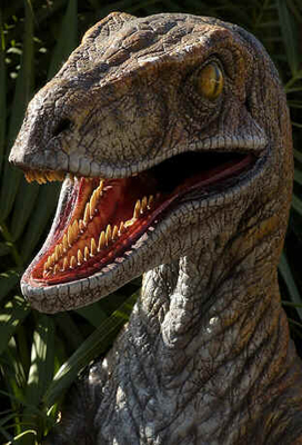 Velociraptor
