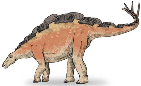 Wuerhossauro Wuerhossauro