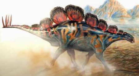 Wuerhossauro Wuerhossauro