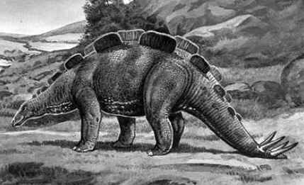 Wuerhossauro Wuerhossauro