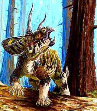 Zuniceratops Zuniceratops