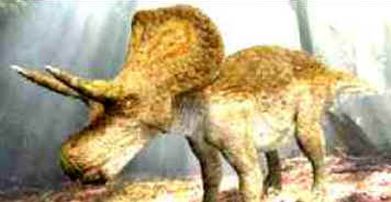 Zuniceratops Zuniceratops