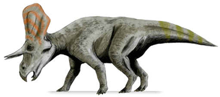 Zuniceratops Zuniceratops