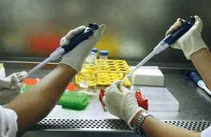 Ciências Biológicas Ciências Biológicas