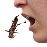 Alotriofagia