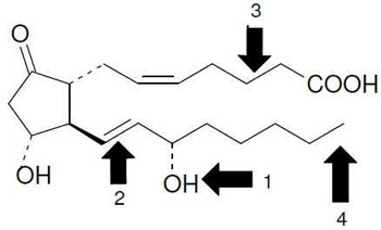 Metabolismo de PG