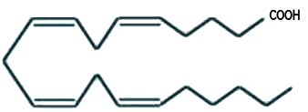 Estrutura química do ácido araquidônico