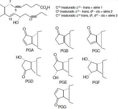 Nomenclatura das Prostaglandinas.
