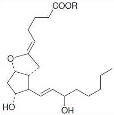  Prostaciclina (PGI2).