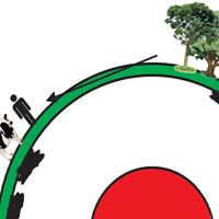 Ciclo do Carbono