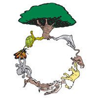 Ciclos Biogeoquímicos