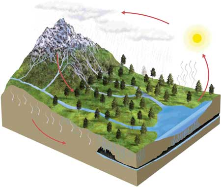 Ciclos Biogeoquímicos