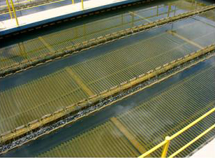 Decantação Decantação