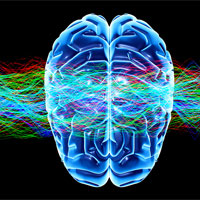 Epilepsia