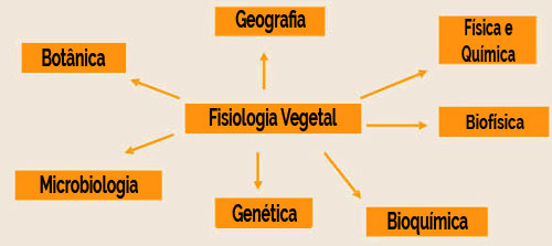 Fisiologia Vegetal