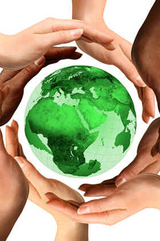 Impactos Ambientais