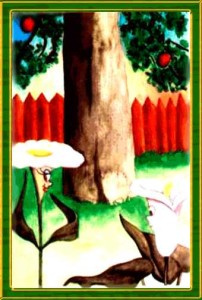 Jardim Ozom