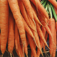 Vitamina A