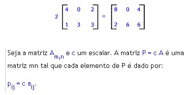 Determinantes e Matrizes
