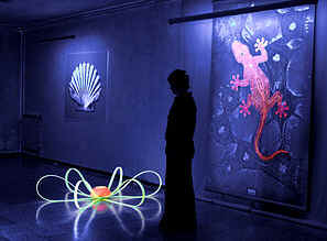 Fluorescência Fluorescência