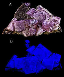 Fluorescência Fluorescência