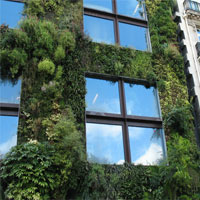 Ecologia Urbana