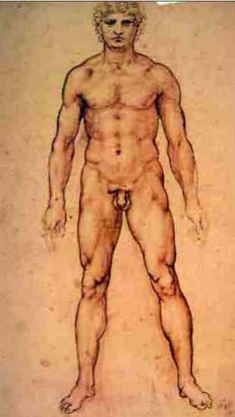 Estudo de um Nu Masculino - Leonardo da Vinci Estudo de um Nu Masculino - Leonardo da Vinci