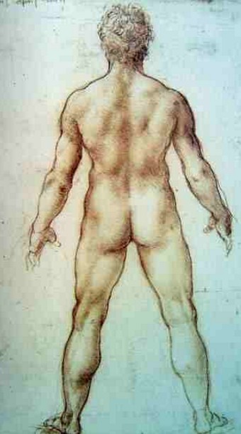 Estudo de um Nu Masculino - Leonardo da Vinci Estudo de um Nu Masculino - Leonardo da Vinci