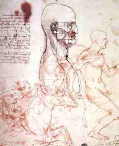 Estudo de Proporções - Leonardo da Vinci Estudo de Proporções - Leonardo da Vinci